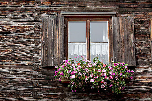 老,圆木,小屋,花,盒子,木质,百叶窗,窗户,奥伯斯多夫,德国