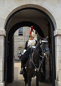 骑乘,马,守卫,营房,皇家轻骑兵,军队,白厅,街道,伦敦,英格兰,英国,欧洲