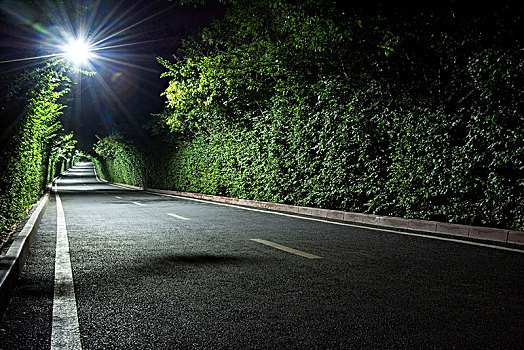 林荫道夜景道路特写