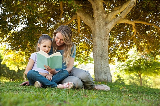 母女,读,书本,公园