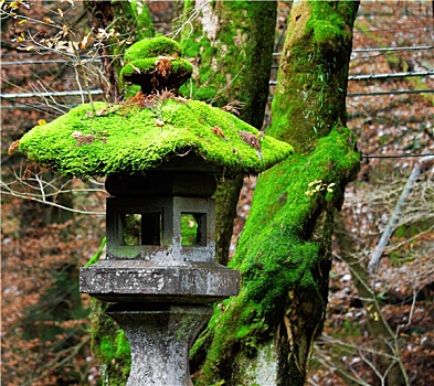 传统,日本,石灯笼