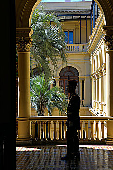 阿根廷,布宜诺斯艾利斯,五月广场,玫瑰宫,室内,棕榈树