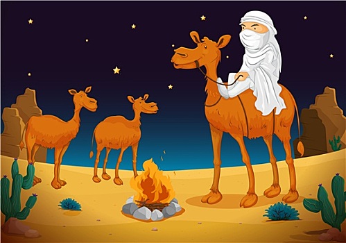 阿拉伯,骆驼