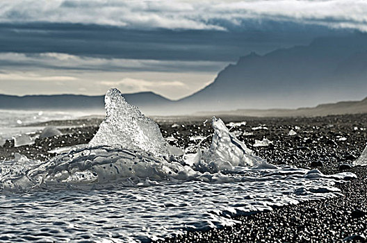 海滩,靠近,结冰,湖,冰岛,欧洲