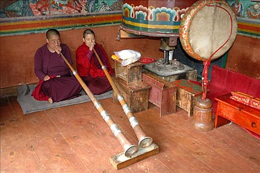 女僧侣,吹,寺院,廷布,不丹,喜马拉雅山,山峦,亚洲