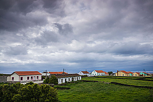 葡萄牙,亚速尔群岛,岛屿,房子