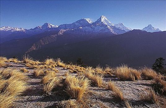 风景,山峦,尼泊尔,亚洲