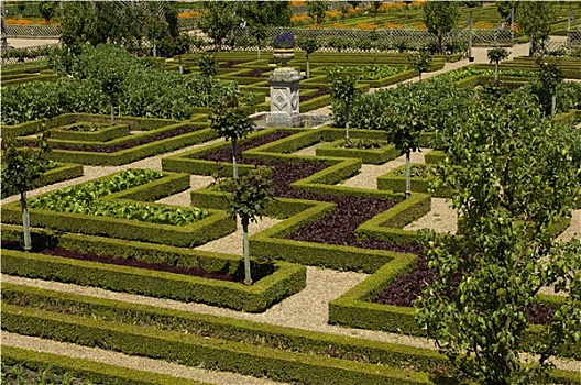 法国,正规花园,维朗德里城堡