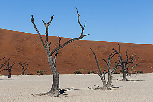 美景,隐藏,纳米布沙漠