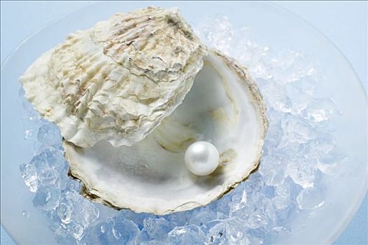 珍珠,牡蛎,壳,碎冰