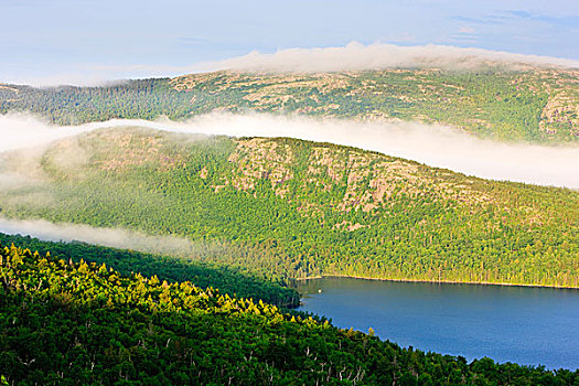 晨雾,搂抱,顶峰,山,高处,鹰,湖,阿卡迪亚国家公园,风景,卡迪拉克