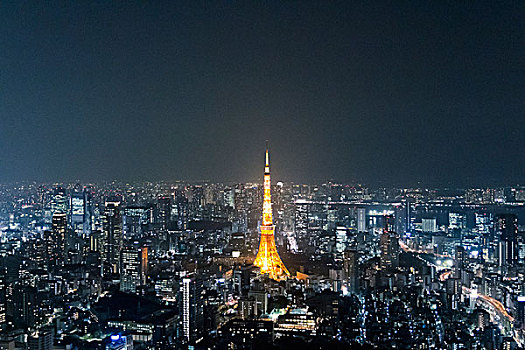 光亮,东京塔,城市,天空,夜晚