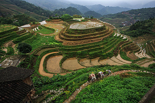 金坑梯田