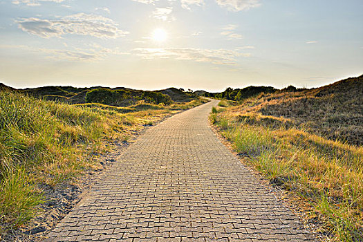 沙丘,小路,太阳,夏天,东方,岛屿,北海,下萨克森,德国