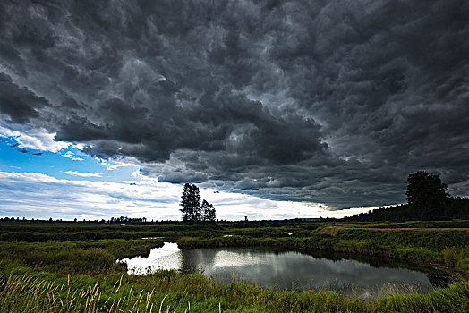 乌云,上方,草地,不列颠哥伦比亚省,加拿大