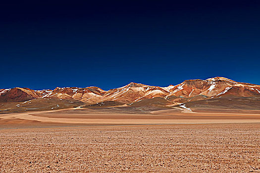 山,彩色,动物,安第斯山,玻利维亚