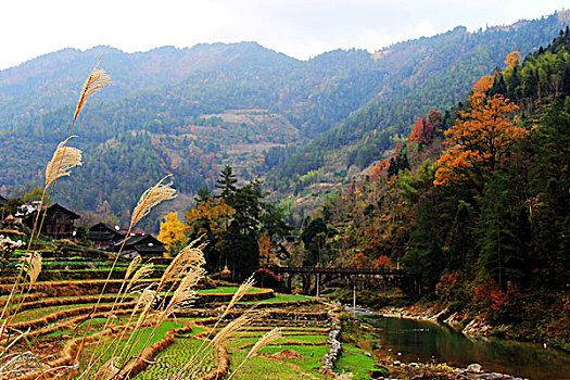 秋季山野