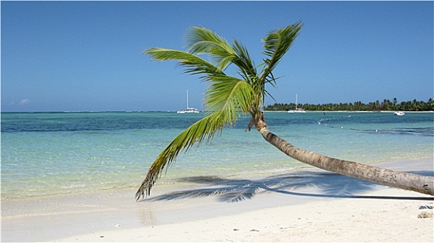 多米尼加共和国,白沙,天堂海滩