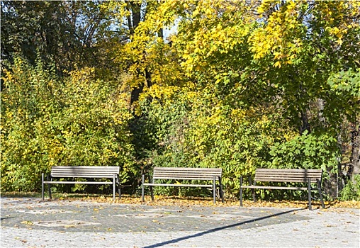 长椅,公园,秋天