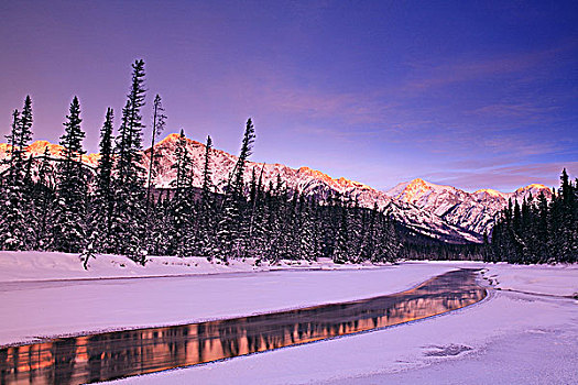 弓河,日落,冬天,班芙国家公园,艾伯塔省,加拿大