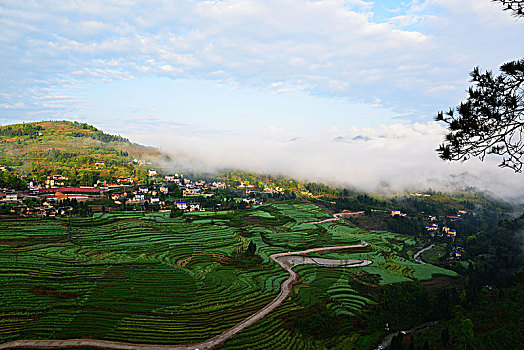 贵州遵义新农村,美如画卷乡愁浓