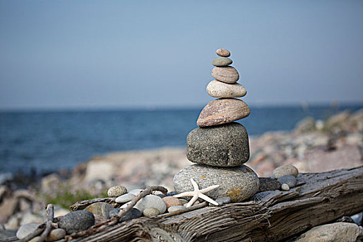 石头,塔,海洋,海滩,海星