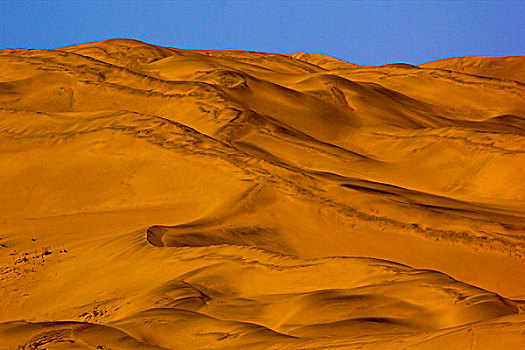 沙漠蜿蜒的脊梁