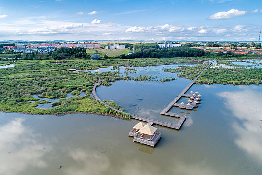 兴凯湖湿地公园夏季风光