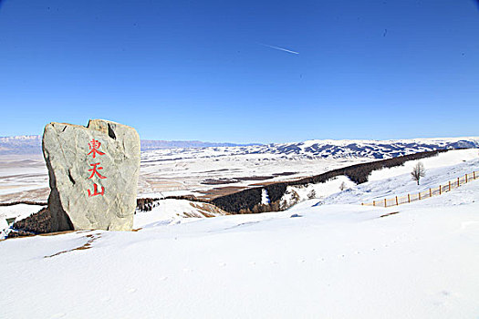 天山雪韵