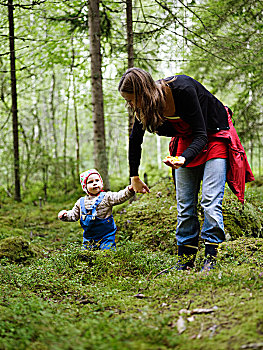 女人,小孩,采蘑菇,瑞典
