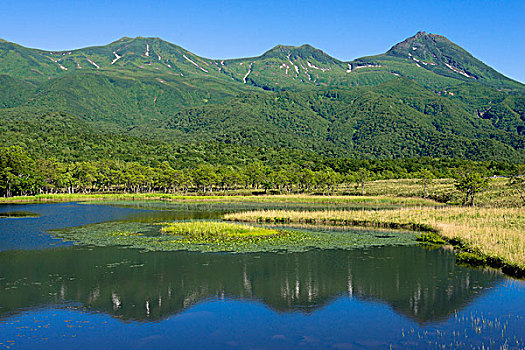 山脉,五个,湖,国家公园,半岛,北海道,日本