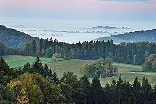 景色,俯视,陆地,山,早,秋天,早晨,雾,巴伐利亚森林国家公园,巴伐利亚,德国