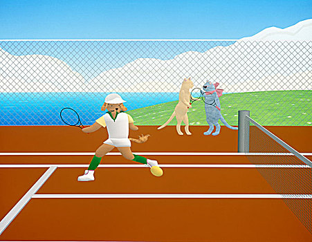 狗,玩,网球