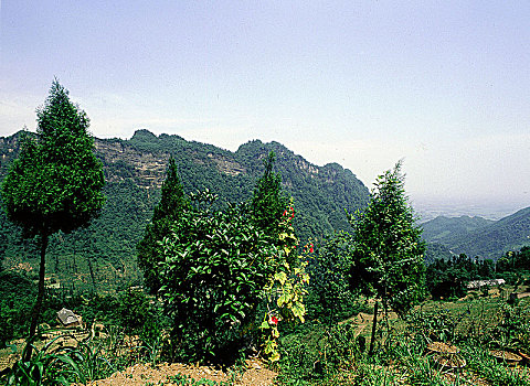 绿色,城市,山,一个,出生,道教,安静,中心