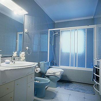 浴室,地砖,蓝色,卫生间,坐便器,正面,淋浴