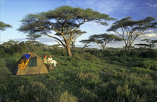 帐蓬,刺槐,树林,靠近,湖,塞伦盖蒂国家公园,坦桑尼亚
