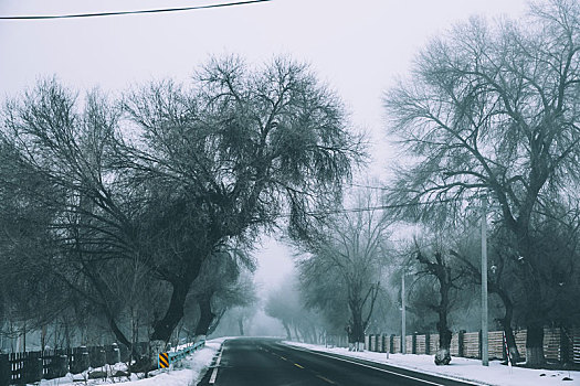 新疆天山天池冬季迷雾中的树林公路