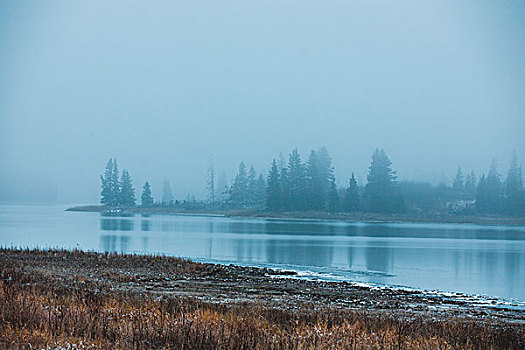 岛屿,晚上,雾,湖,艾伯塔省,加拿大