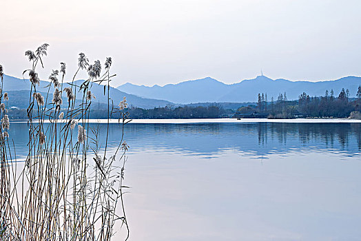 杭州西湖,茅家埠