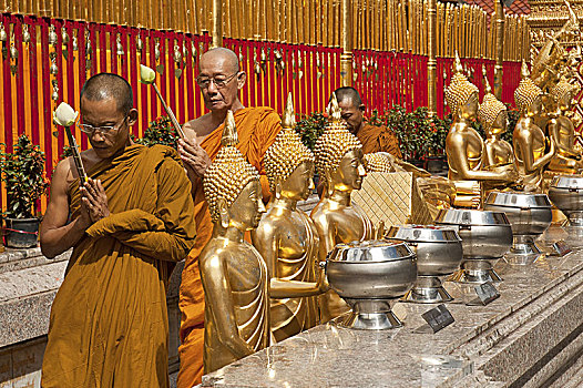 僧侣,队列,金色,契迪,寺院,素贴,清迈,泰国