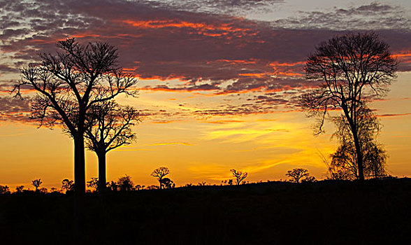 日落,马达加斯加,非洲