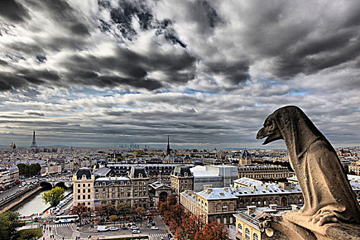 巴黎圣母院俯瞰巴黎