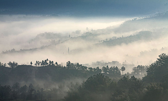 云海,梯田,氤氲,朦胧,诗画,梦乡,早晨,早上,雾气,安徽,家朋,春天,春色,徽居,阳光,春意,油菜花,田园,乡村,山川,山,清明