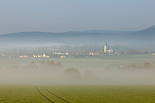 山,早晨,薄雾,山谷,下奥地利州,奥地利,欧洲