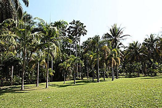 中科院西双版纳热带植物园