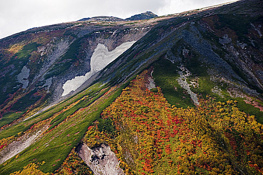 秋色,山