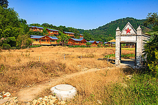 小木屋,草地,房子