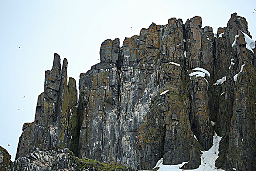 北极,斯匹次卑尔根岛,斯瓦尔巴特群岛,高耸,侏罗纪,白垩纪,展示,腐蚀,大,建筑