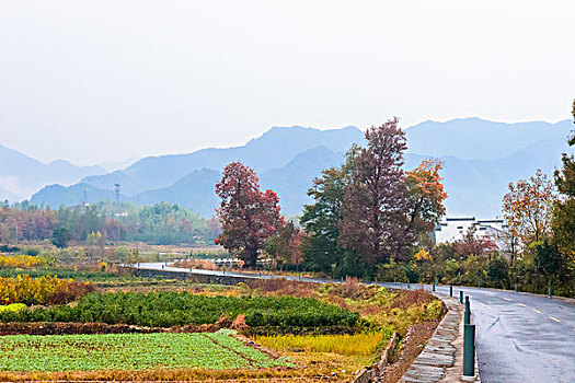 塔川秋色