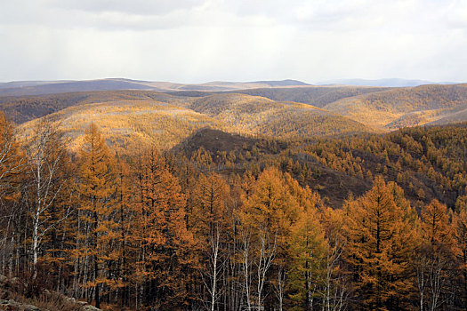 阿尔山白狼峰